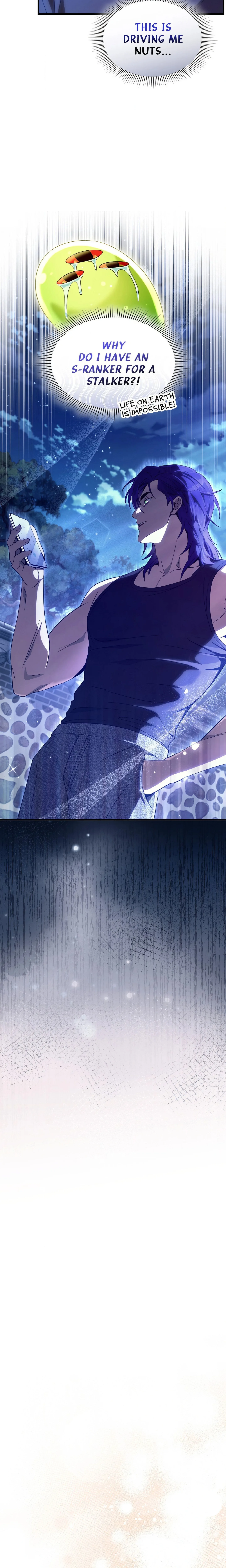 Illusion Hunter from Another World chapter 66 page 11