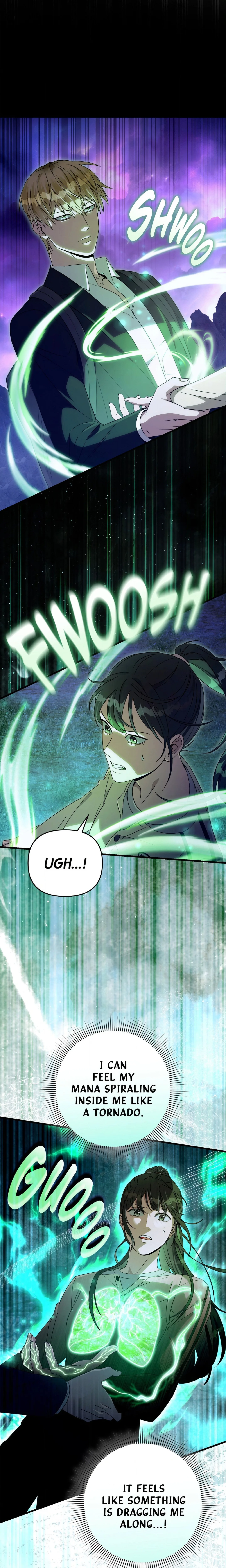 Illusion Hunter from Another World chapter 69 page 5