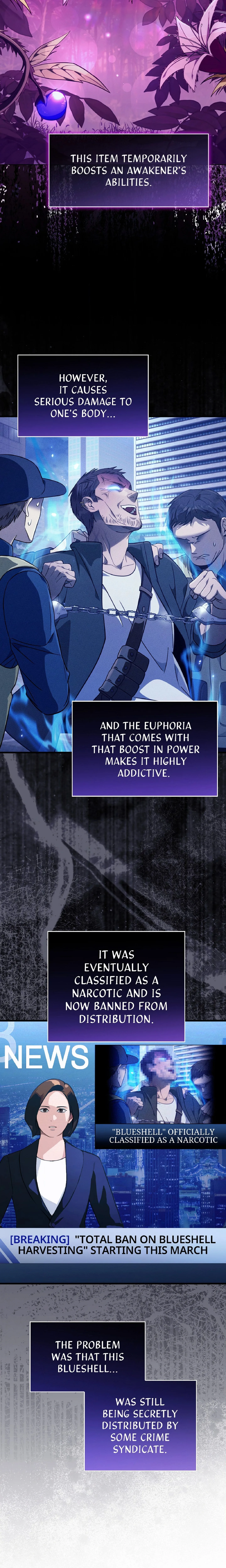 Illusion Hunter from Another World chapter 84 page 13