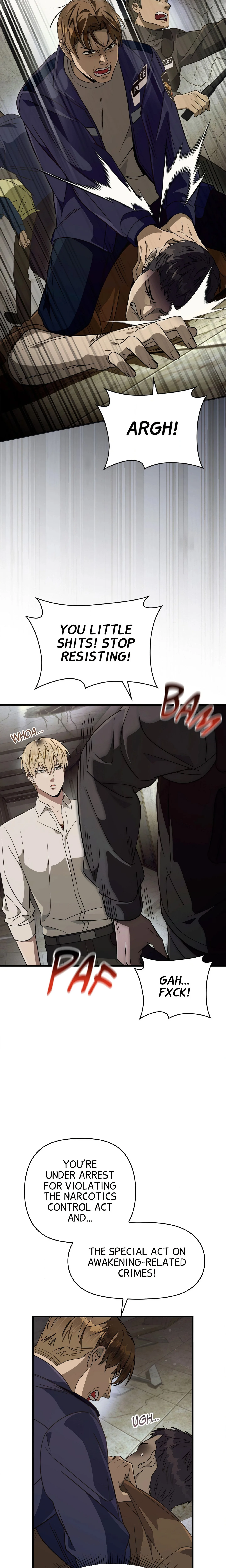 Illusion Hunter from Another World chapter 85 page 6