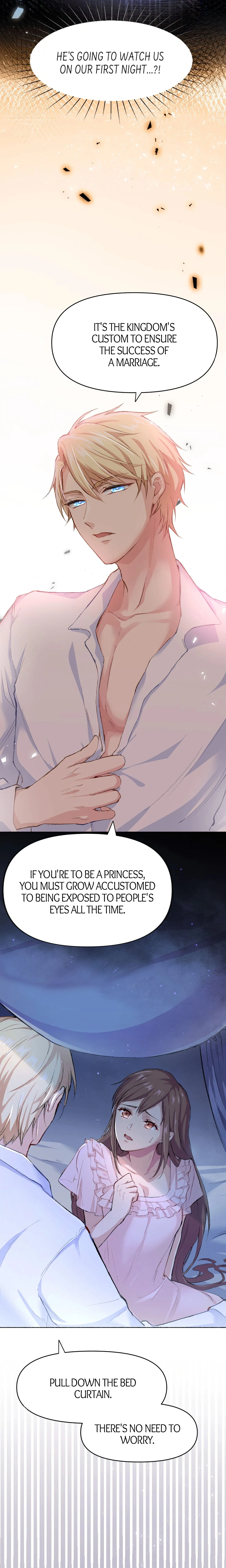 A Deceiving Bride and The Fierce Lion chapter 1 page 4