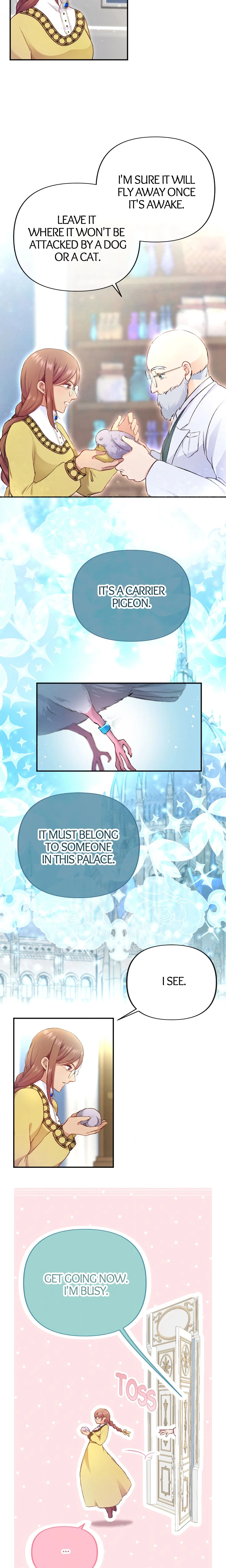 A Deceiving Bride and The Fierce Lion chapter 19 page 12