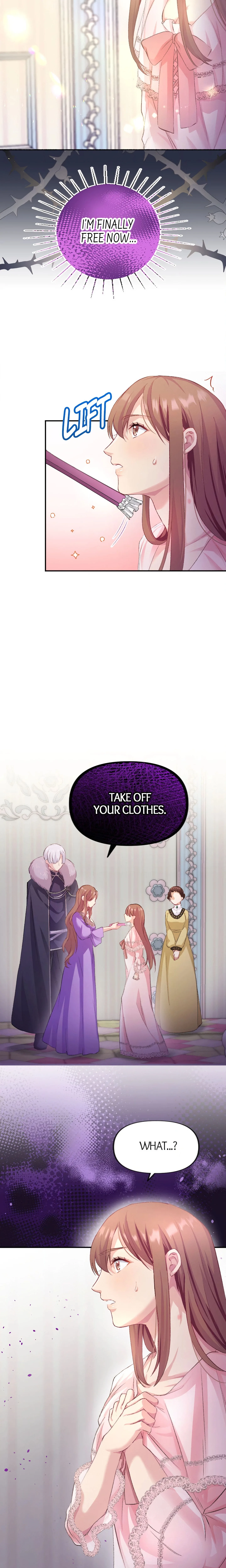 A Deceiving Bride and The Fierce Lion chapter 24 page 17