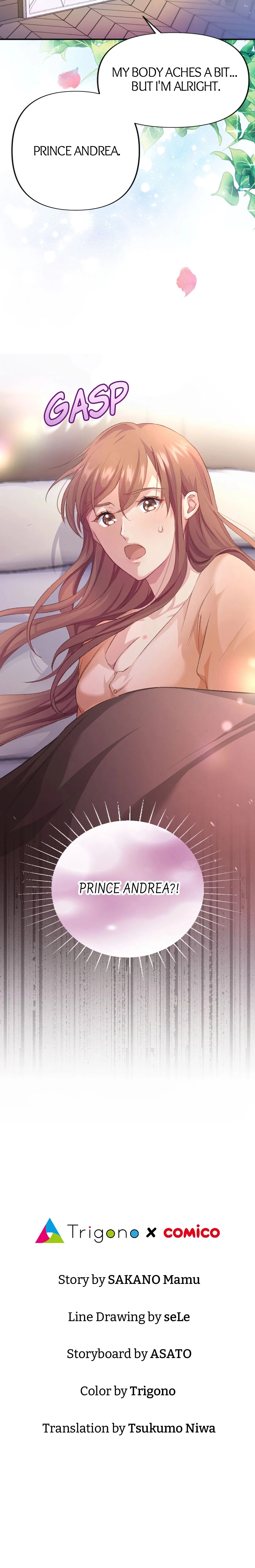 A Deceiving Bride and The Fierce Lion chapter 25 page 17