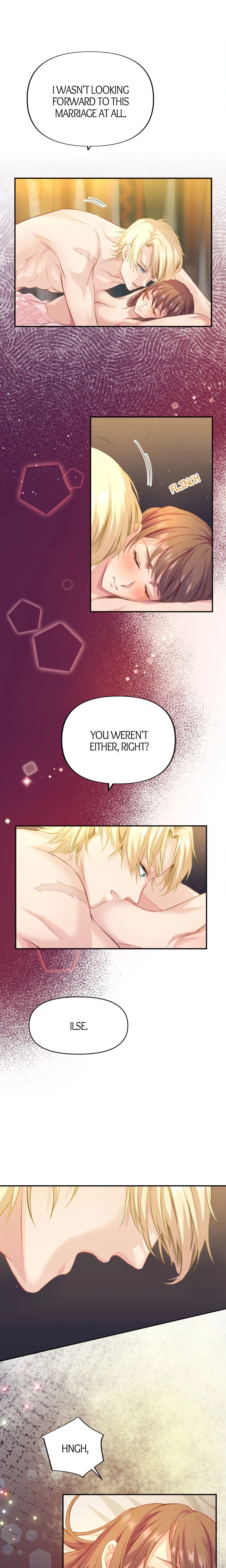 A Deceiving Bride and The Fierce Lion chapter 7 page 3