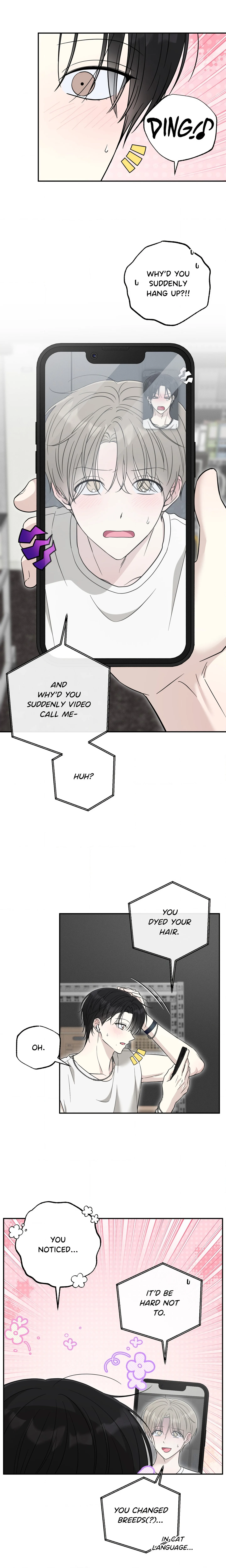 The Purrfect Match (Uncensored) chapter 21 page 3