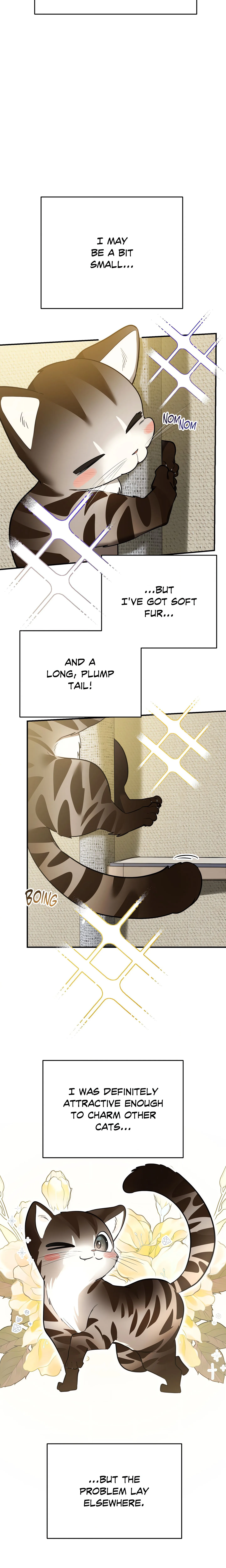 Heat Stroke (Uncensored) chapter 1 page 13