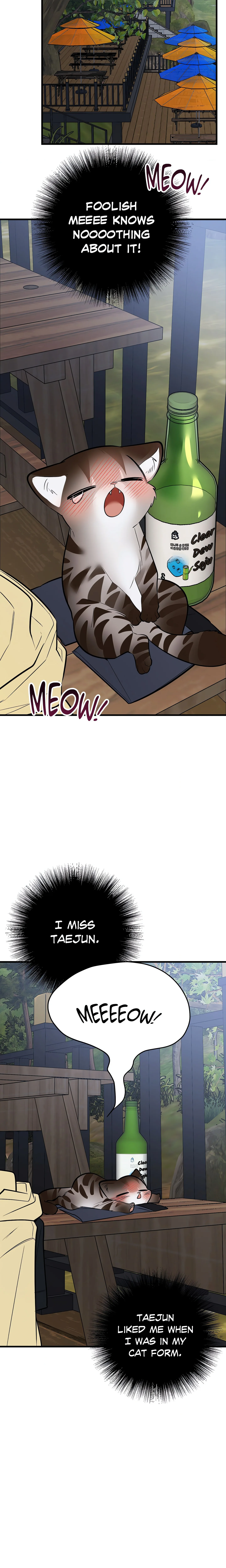 Heat Stroke (Uncensored) chapter 11 page 33