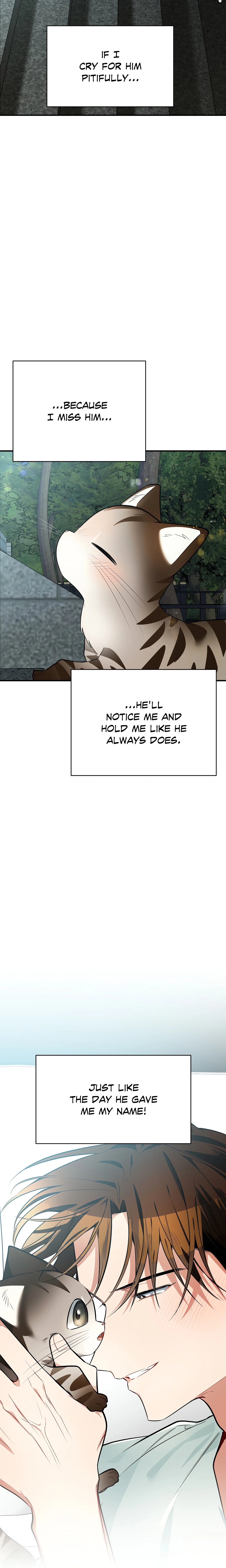 Heat Stroke (Uncensored) chapter 12 page 2