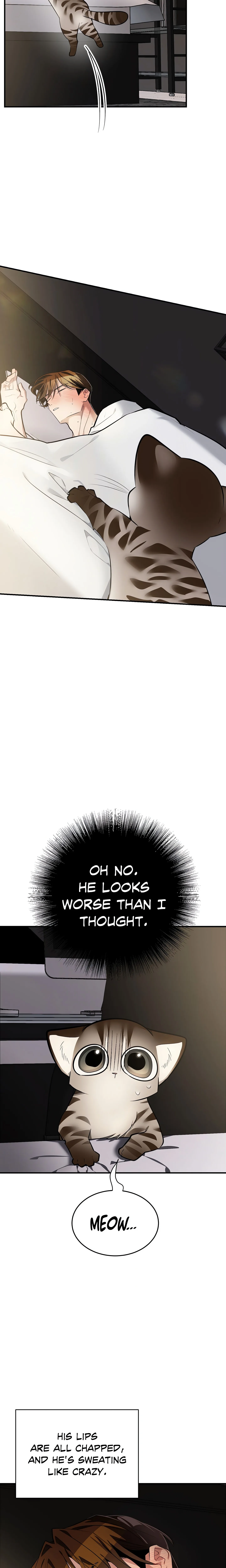 Heat Stroke (Uncensored) chapter 15 page 2