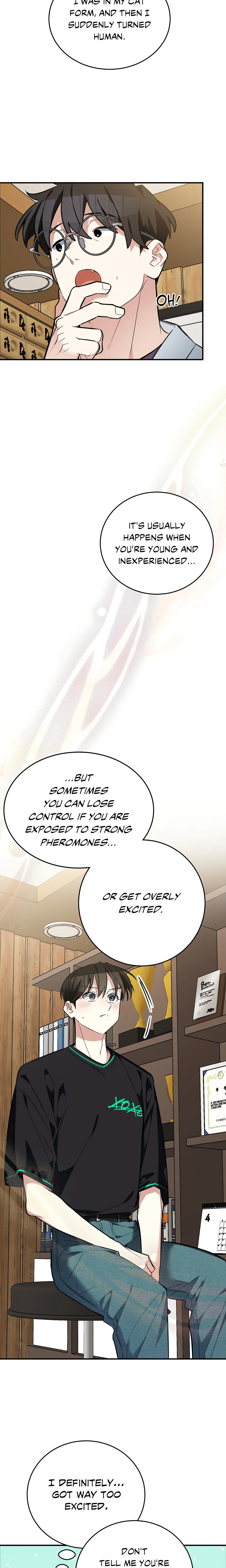 Heat Stroke (Uncensored) chapter 16 page 13