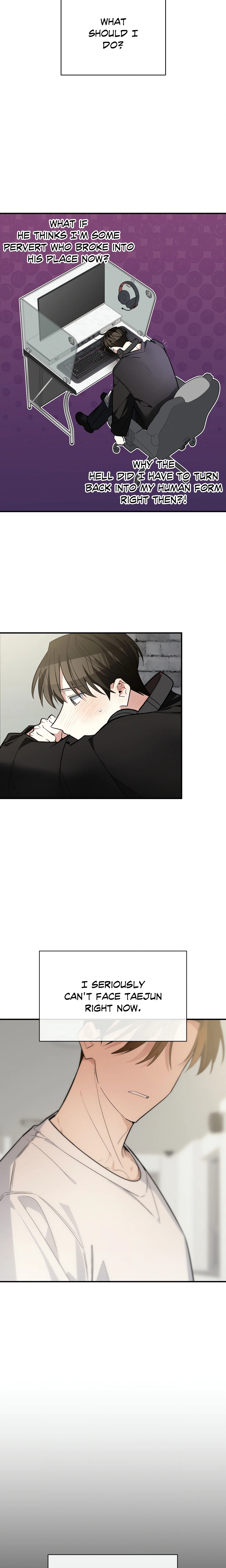 Heat Stroke (Uncensored) chapter 16 page 2