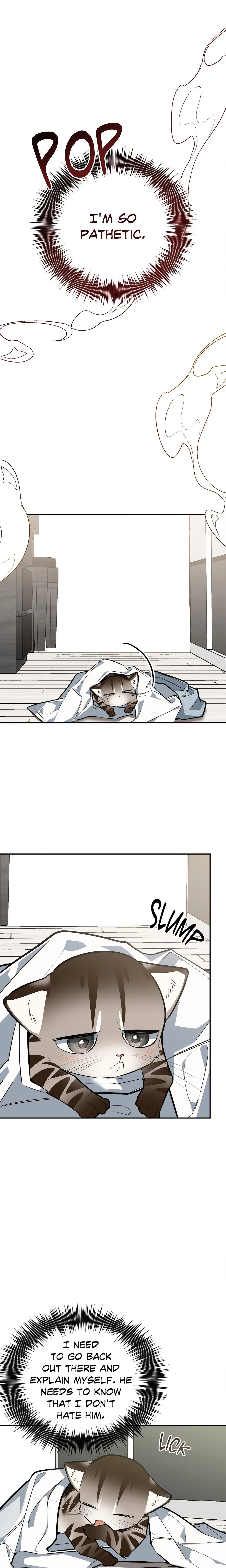 Heat Stroke (Uncensored) chapter 19 page 11