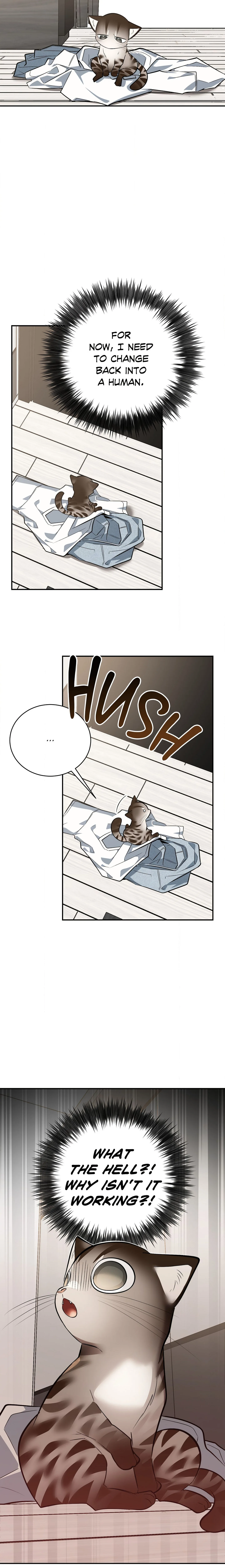 Heat Stroke (Uncensored) chapter 19 page 13
