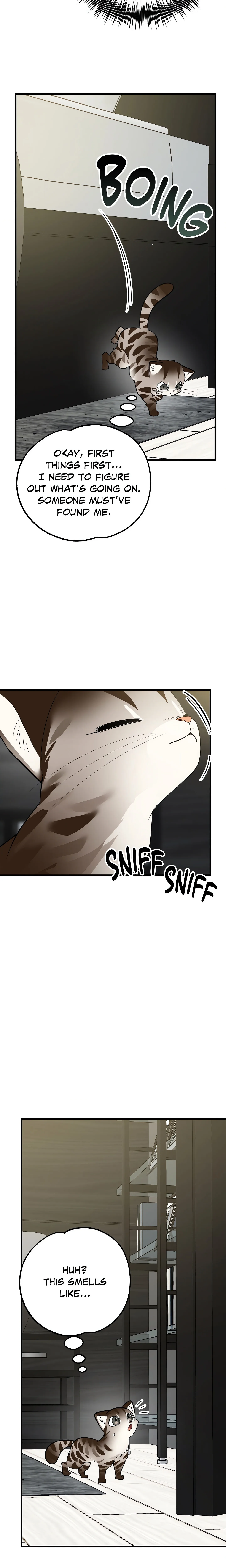 Heat Stroke (Uncensored) chapter 2 page 5