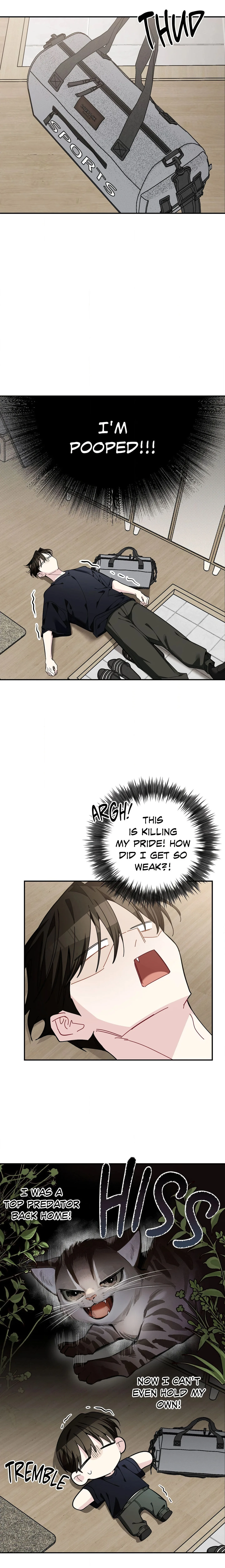 Heat Stroke (Uncensored) chapter 27 page 5