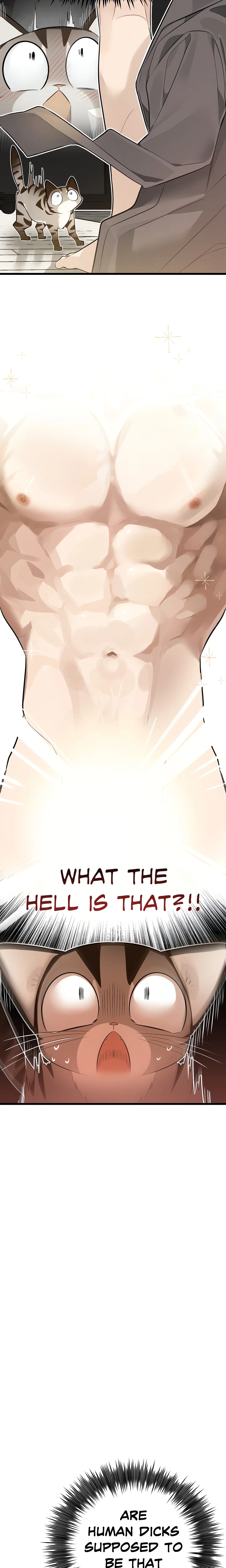 Heat Stroke (Uncensored) chapter 3 page 6