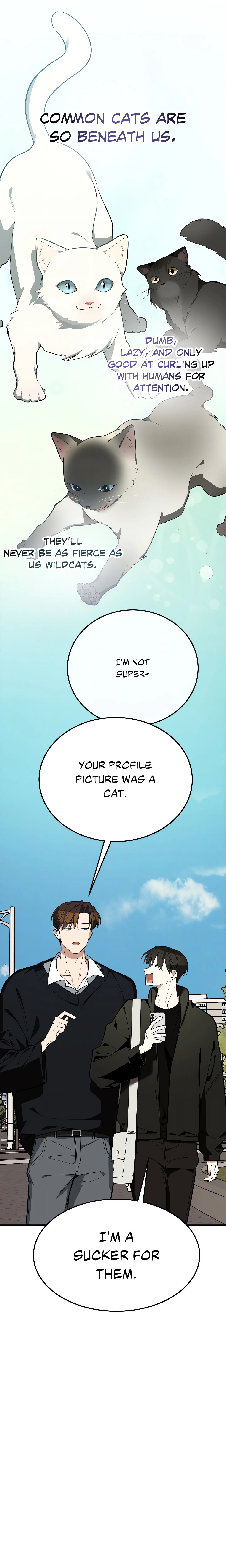 Heat Stroke (Uncensored) chapter 6 page 7