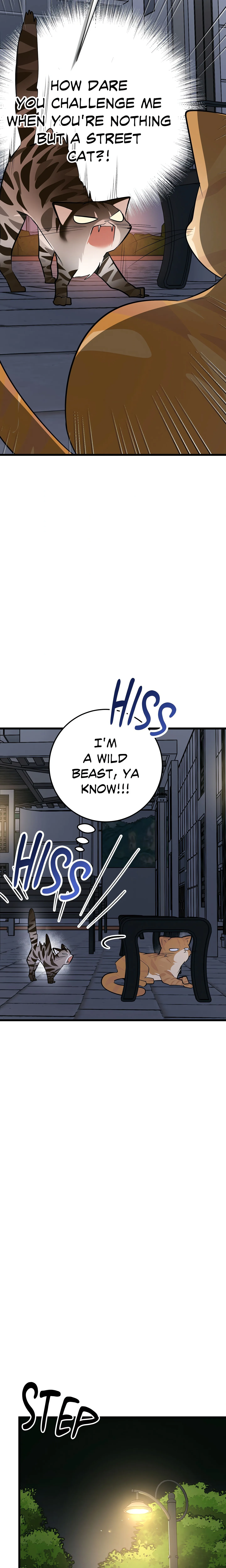 Heat Stroke (Uncensored) chapter 8 page 11