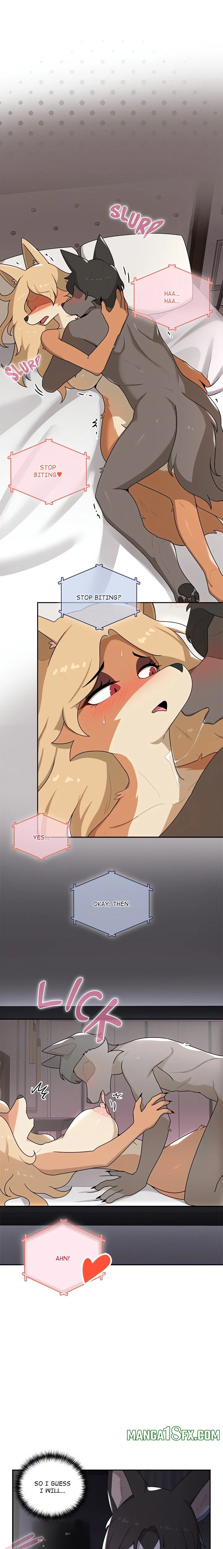 Paws on Campus Webtoon - chapter 4 page 1