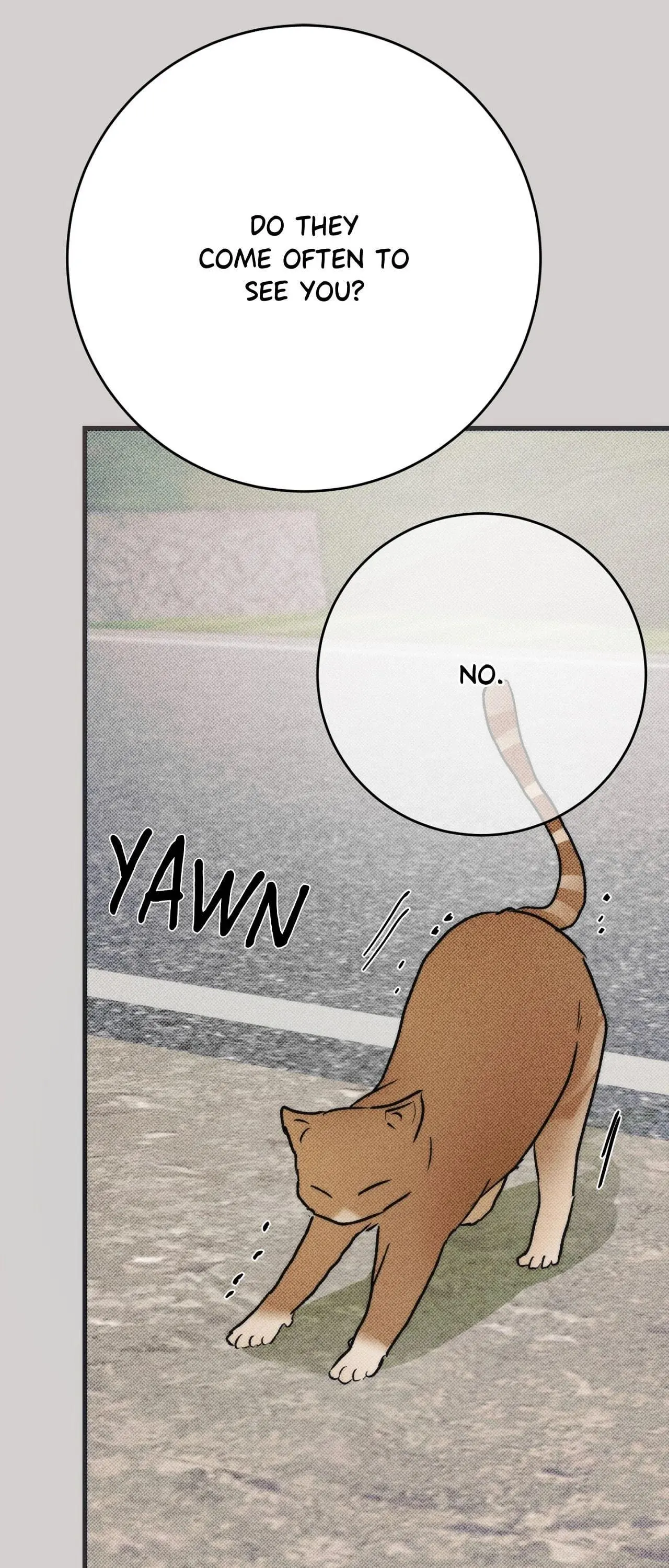 Cry, Even Better If You Beg chapter 38 page 67