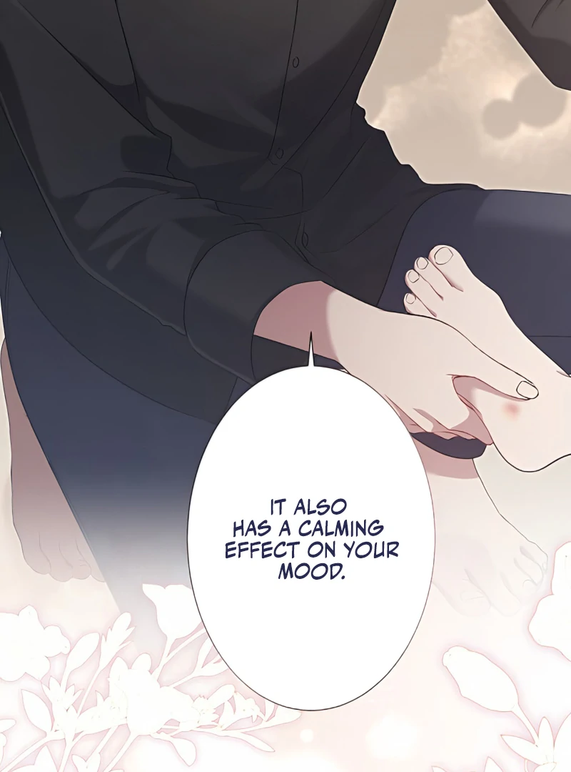 The Hidden Prince Who Loved Me chapter 4 page 28