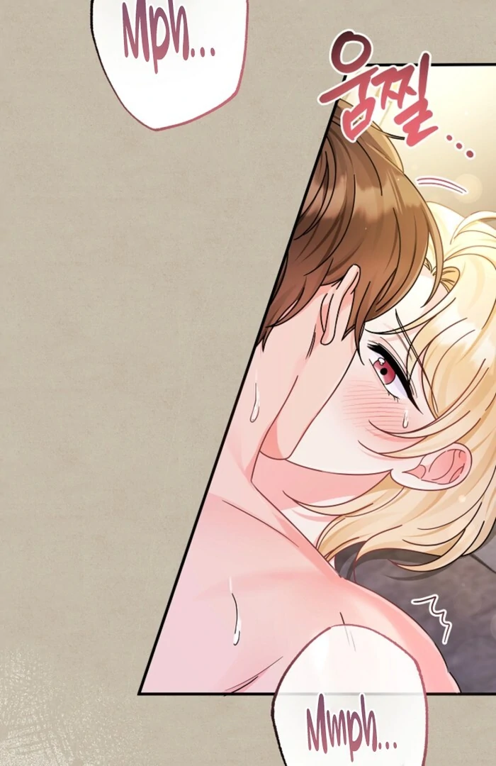 Your Highness, This Is Just a Novel chapter 1 page 27