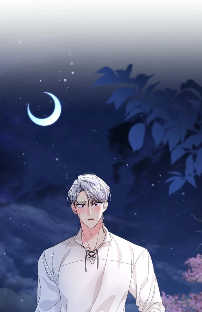 Your Highness, This Is Just a Novel chapter 10 page 33