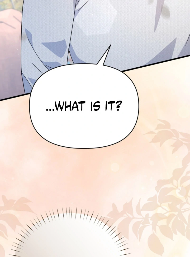 Your Highness, This Is Just a Novel chapter 18 page 45
