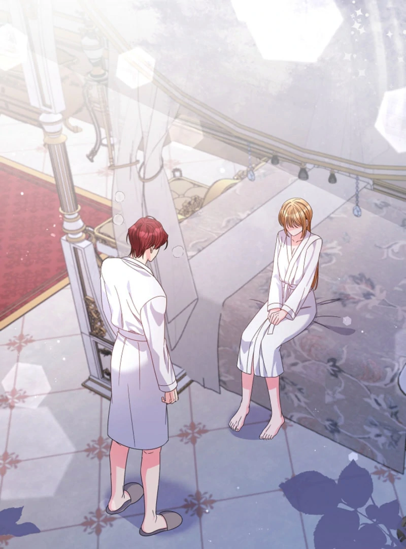 Your Highness, This Is Just a Novel chapter 20 page 96
