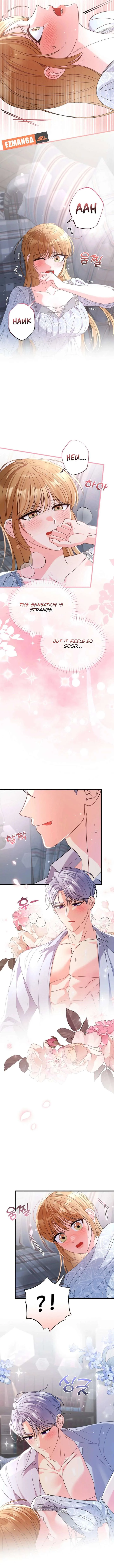 Your Highness, This Is Just a Novel chapter 27 page 4
