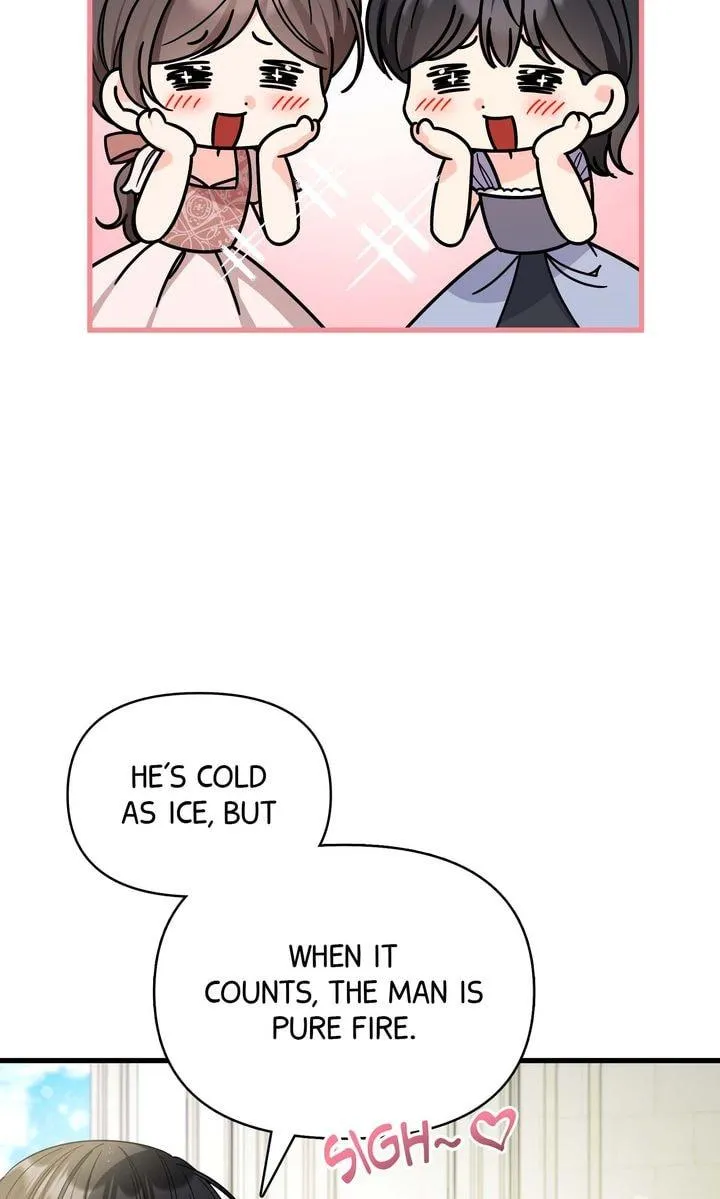 Your Highness, This Is Just a Novel chapter 29 page 19