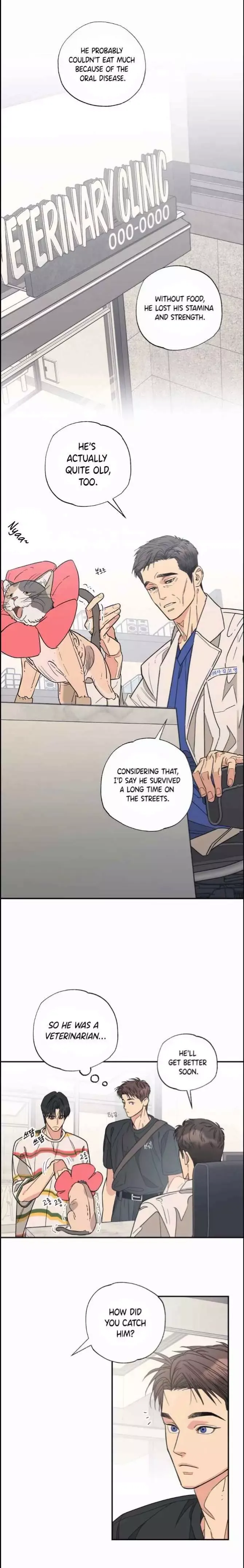 Purrfect Choice chapter 10 page 2
