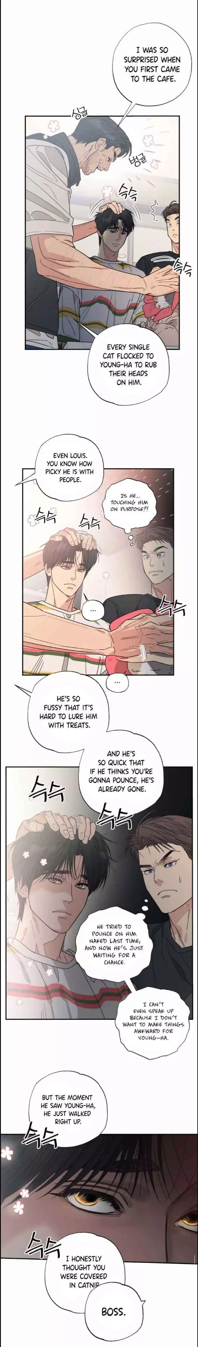 Purrfect Choice chapter 10 page 4