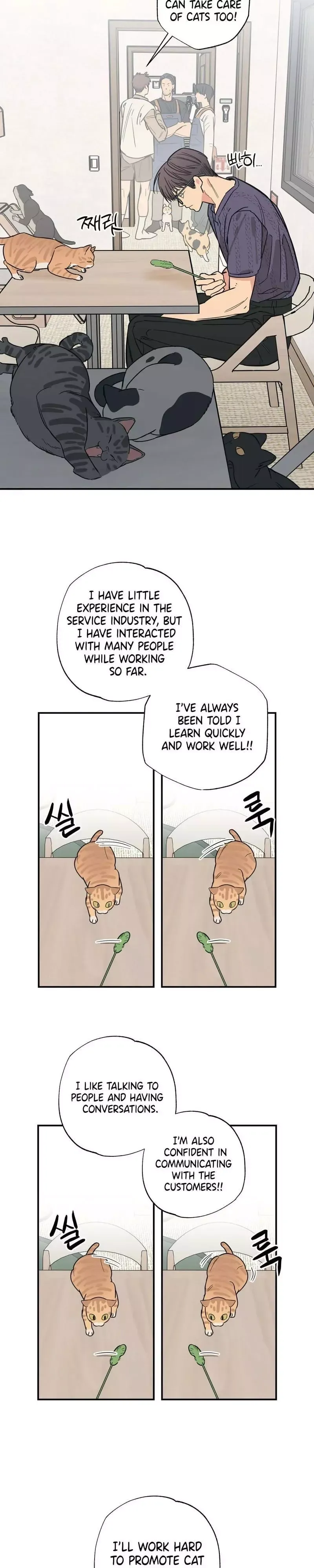 Purrfect Choice chapter 12 page 13