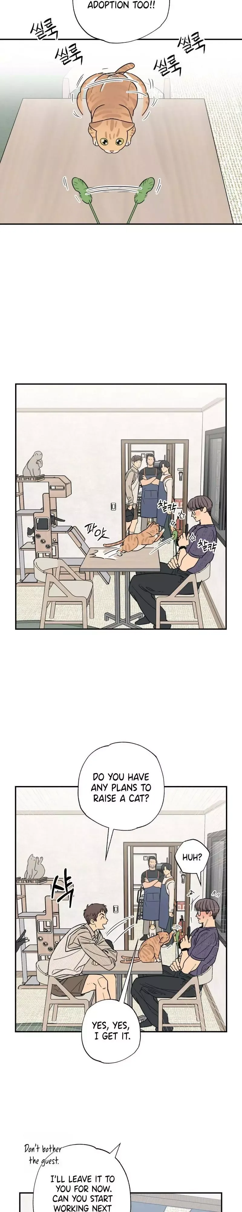 Purrfect Choice chapter 12 page 14