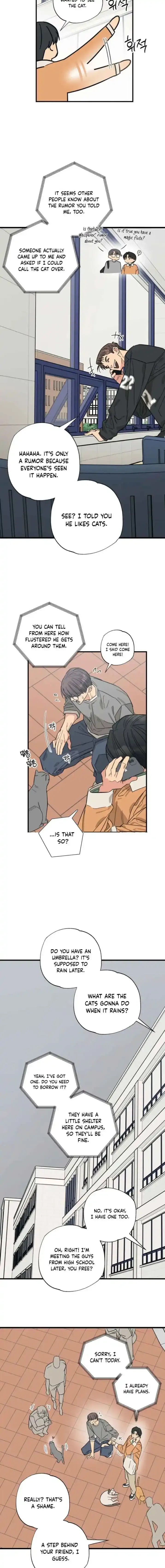 Purrfect Choice chapter 16 page 11