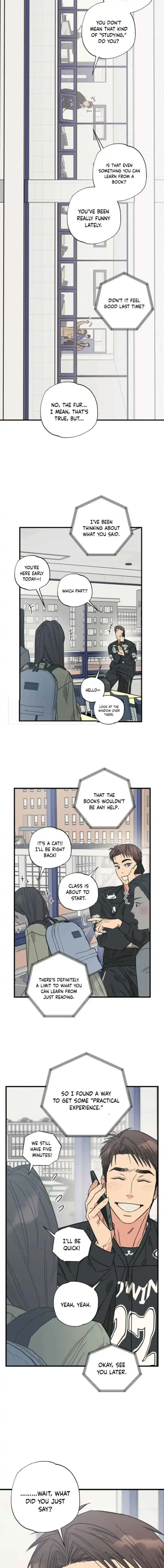 Purrfect Choice chapter 16 page 13