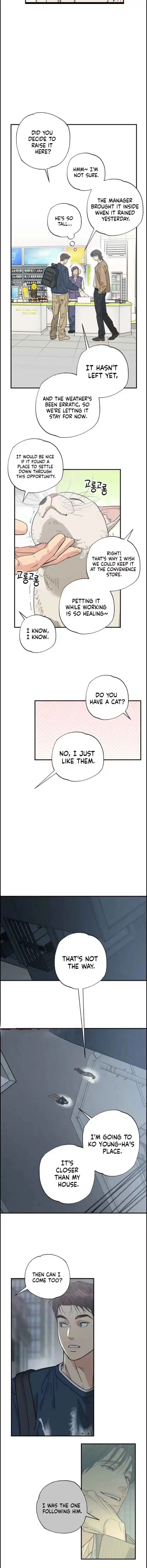 Purrfect Choice chapter 18 page 9