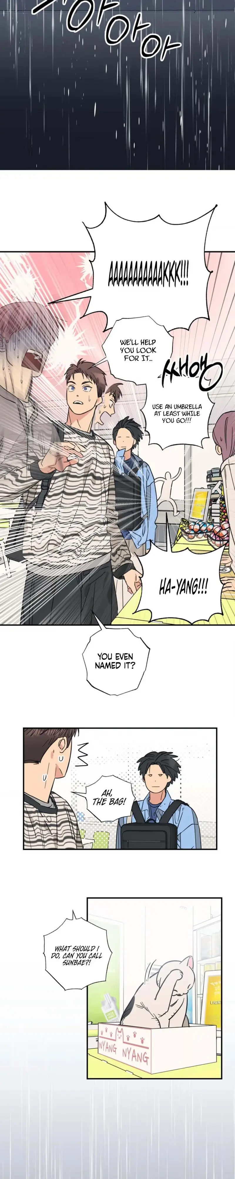 Purrfect Choice chapter 23 page 15