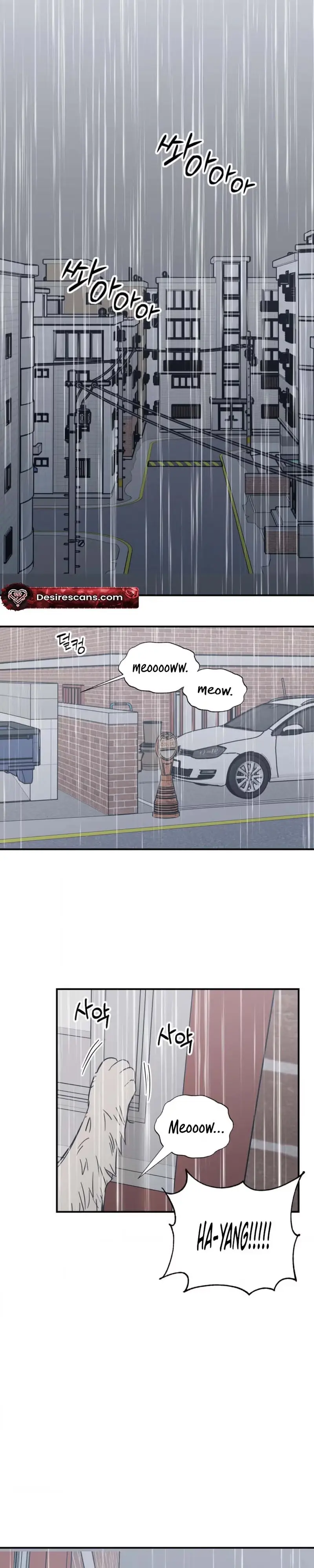 Purrfect Choice chapter 23 page 16
