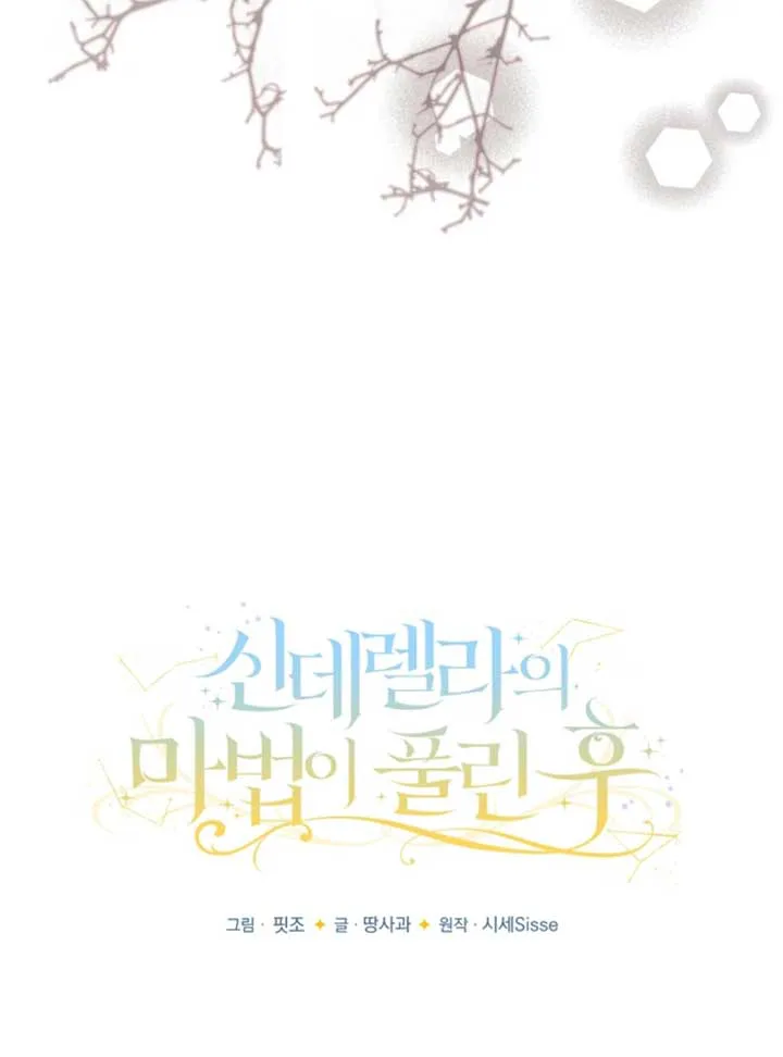 When Cinderella’s Magic Fades Away chapter 71 page 48
