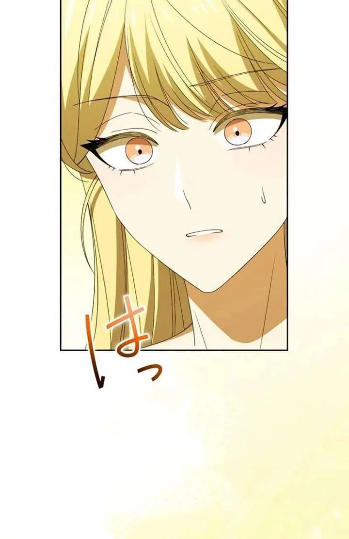 Don’t Obsess Over the Fake Princess! chapter 13 page 64