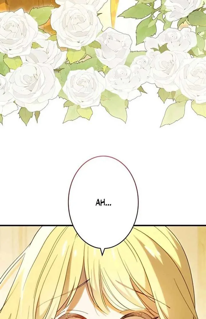 Don’t Obsess Over the Fake Princess! chapter 13 page 66
