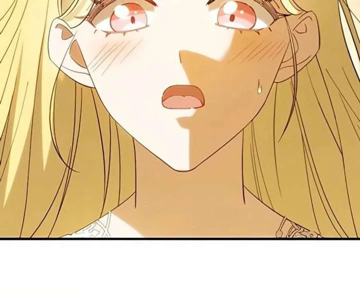Don’t Obsess Over the Fake Princess! chapter 13 page 67