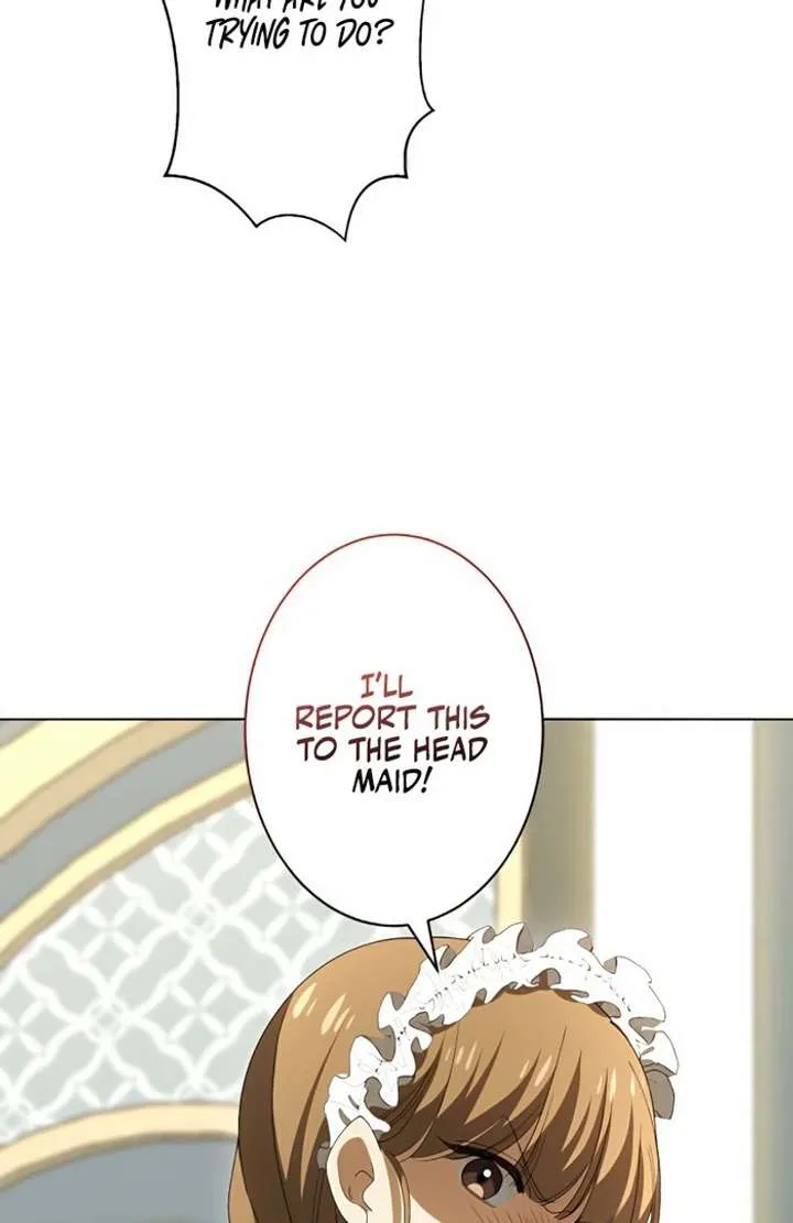Don’t Obsess Over the Fake Princess! chapter 2 page 13