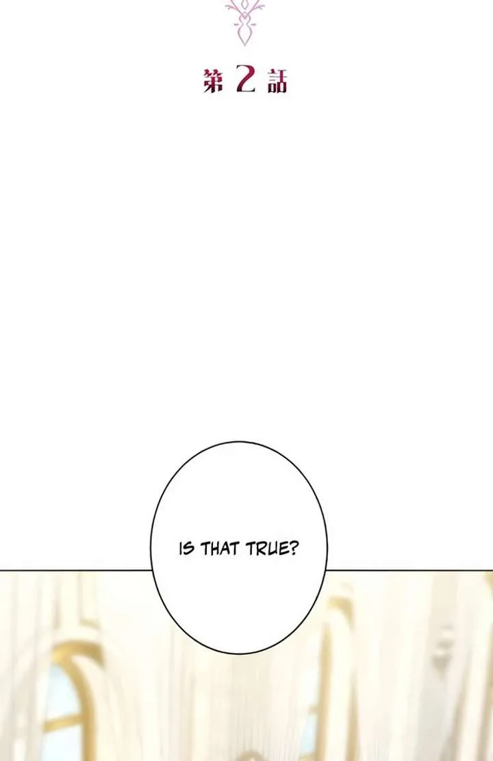 Don’t Obsess Over the Fake Princess! chapter 2 page 29