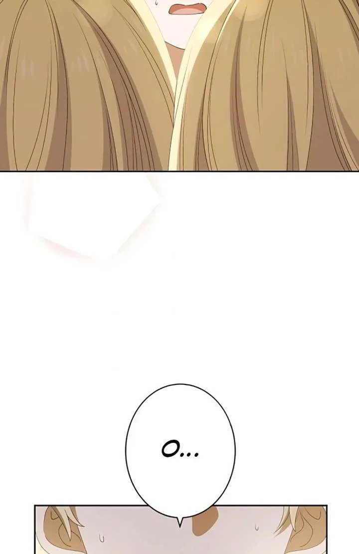 Don’t Obsess Over the Fake Princess! chapter 3 page 73
