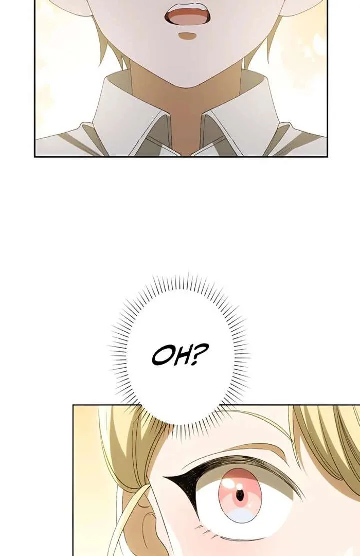 Don’t Obsess Over the Fake Princess! chapter 3 page 74