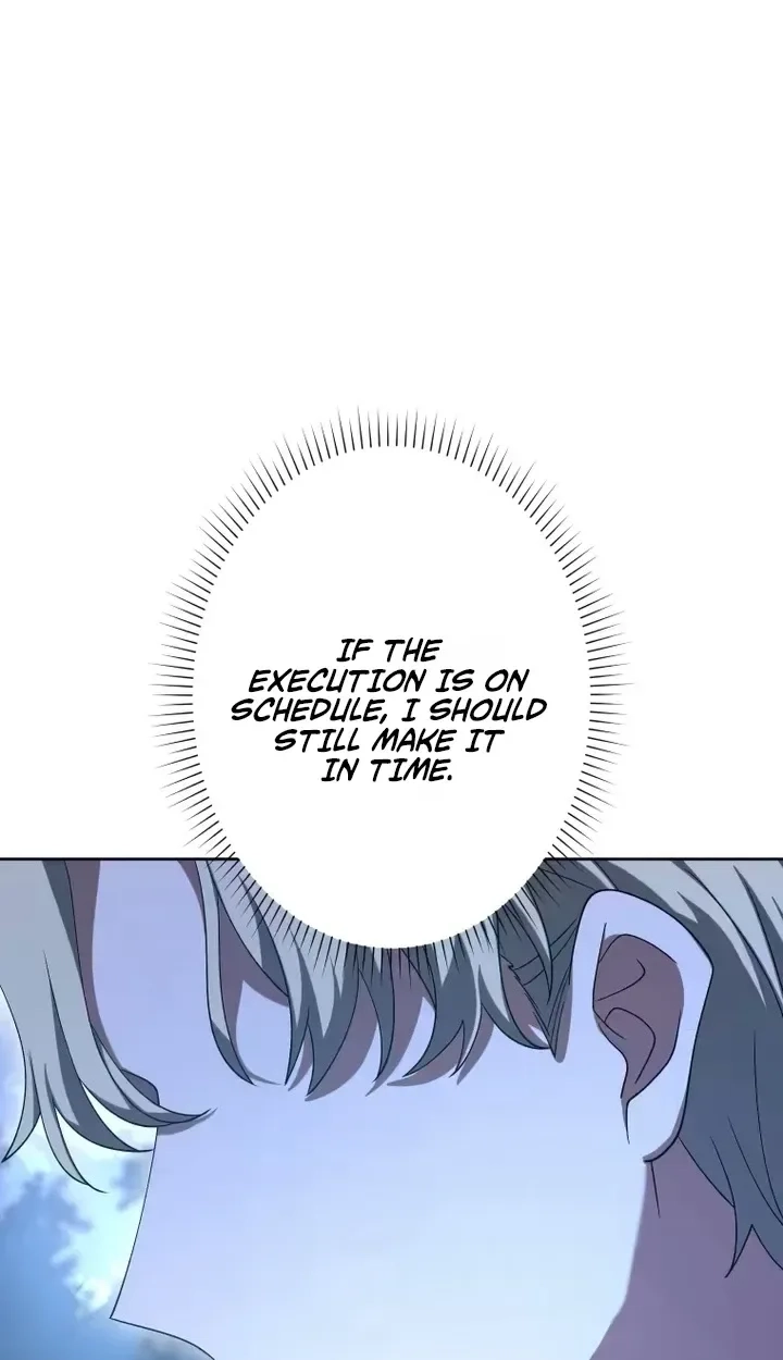 Don’t Obsess Over the Fake Princess! chapter 41 page 101